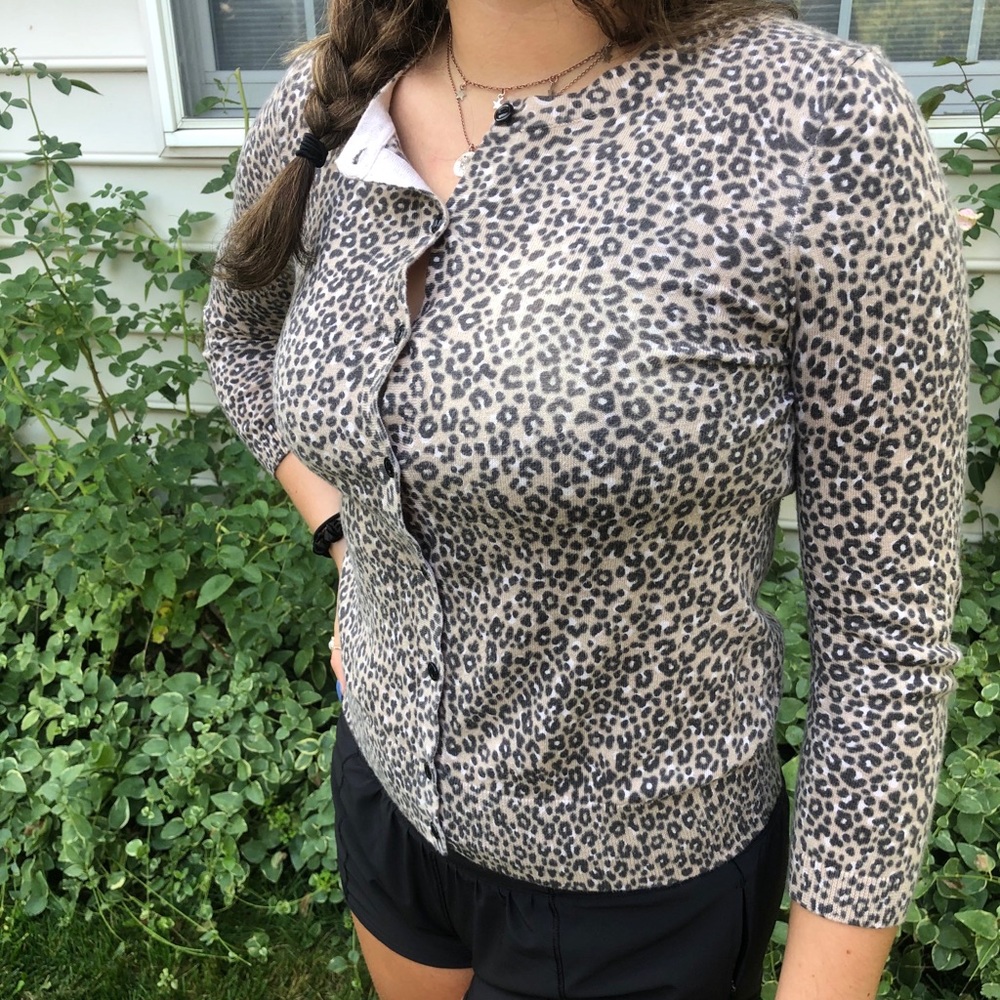 Ann Taylor Loft Sweater